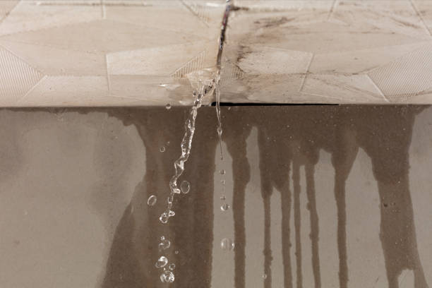Professional Structural Drying technician working in Nuevo, CA